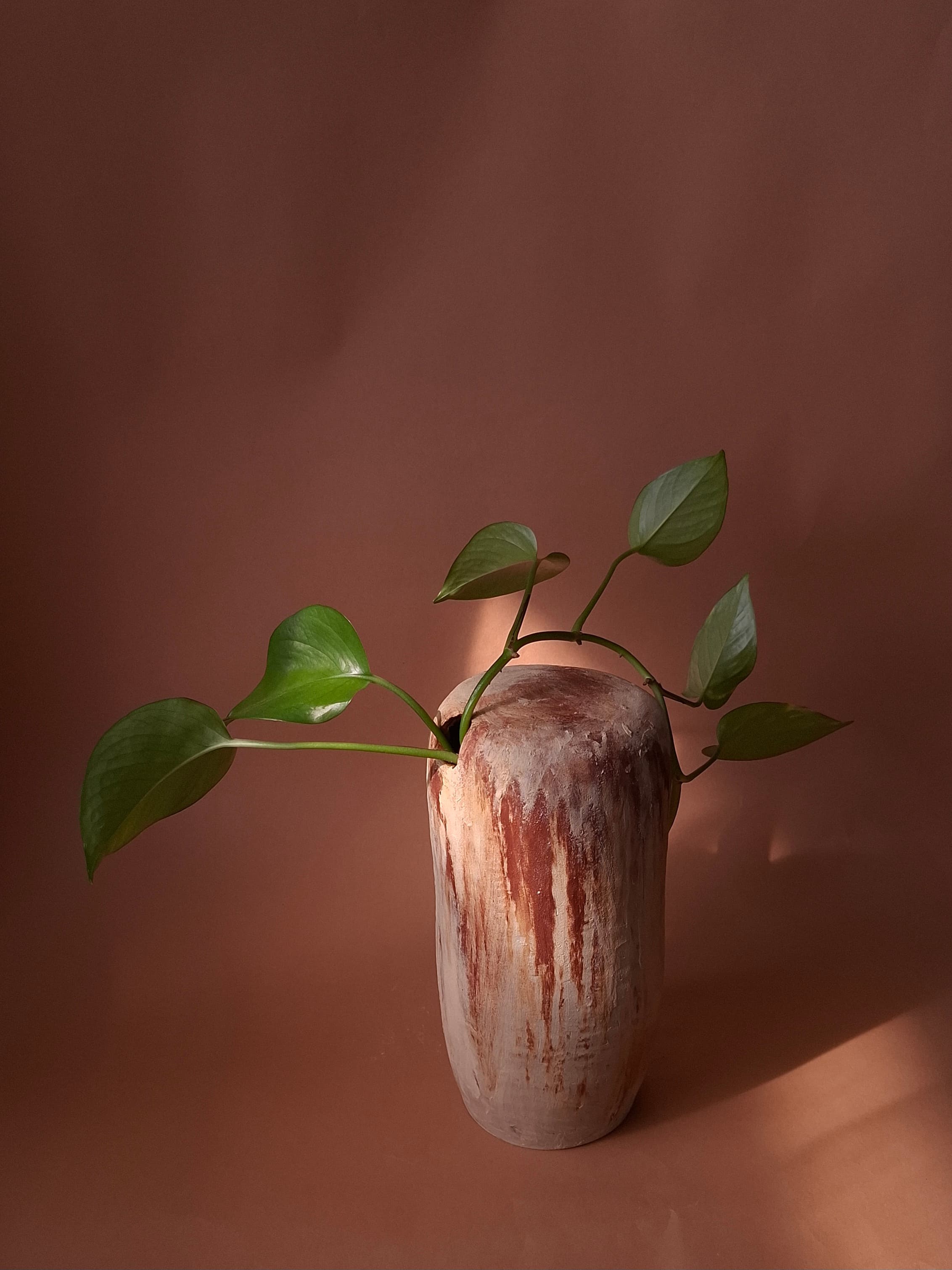 Ceramic vessels photographed in the studio