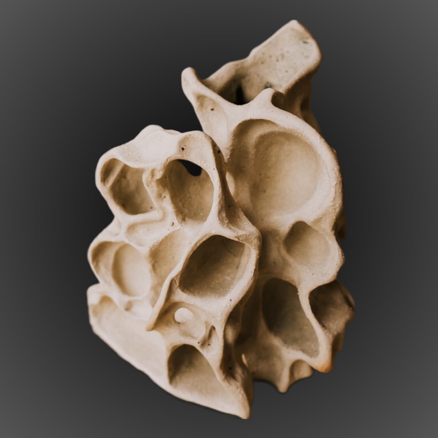 Handbuilt stoneware vase with organic porous structure. Unglazed exterior, glazed interior. Intuitive handbuilding by ceramist Przemyslaw Golebiewski, Berlin. One of a kind.